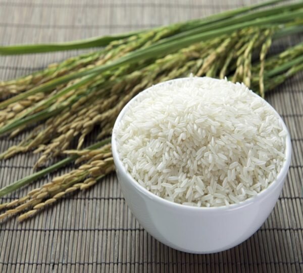 Rice